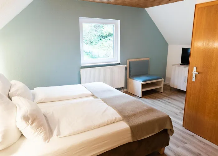 Апарт-отель Harzhold - Auszeit In Lerbach 3*